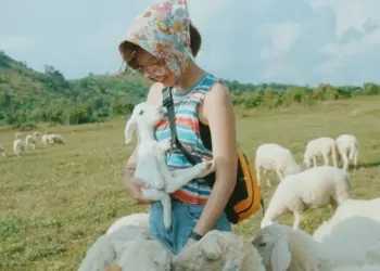 Địa Điểm Du Lịch Vũng Tàu