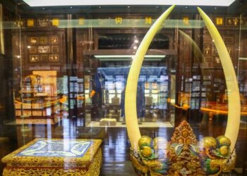 Bảo Tàng Cổ Vật Cung Đình Huế: Ngược Dòng Về Triều Nguyễn